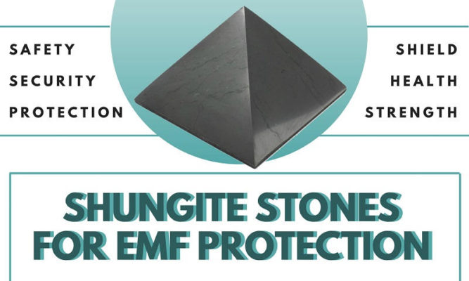shungite-stone-from-Russia-to-protect-from-electromagnetic-radiation