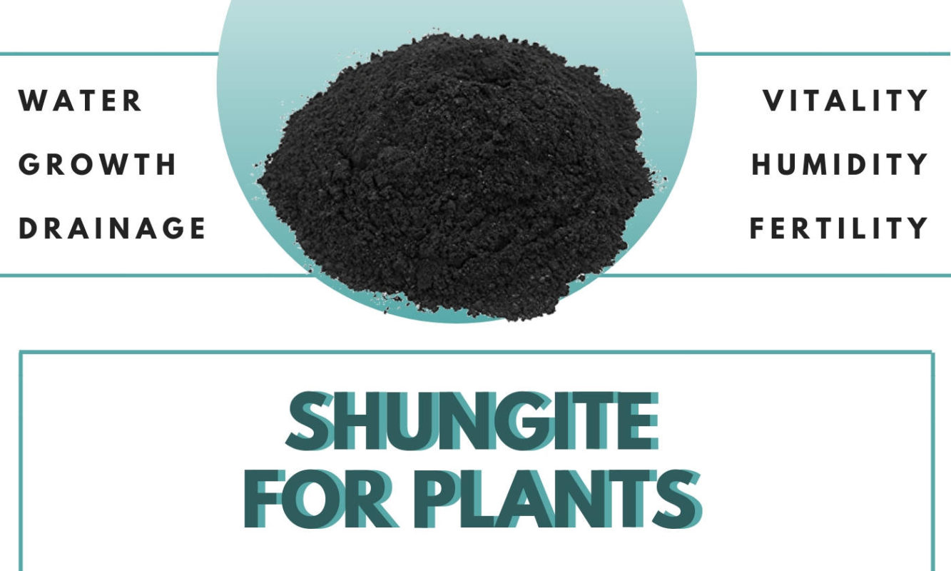 home-plants-fertilizer-how-to-use-shungite