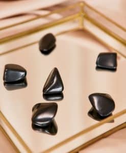 Shungite tumbled stones